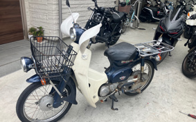 HONDA SUPER CUB50 C50