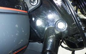 HARLEY FXBR1920 2024