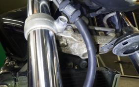HONDA HORNET 250 MC31