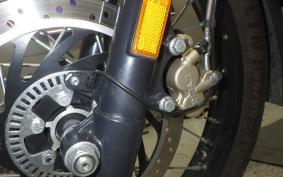 OTHER +ENFIELD ﾋﾏﾗﾔﾝ 2022