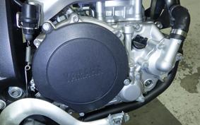 YAMAHA WR250X 2020 DG15J