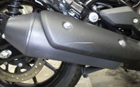 OTHER +ENFIELD HUNTER350 2025