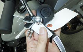 HARLEY FXLRST1920 2025