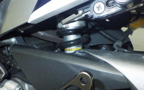 HONDA VFR800F 2019 RC79