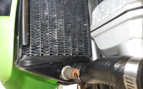 KAWASAKI KLX250 LX250E
