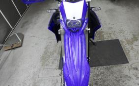 YAMAHA WR250R 2007 DG15J