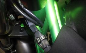 KAWASAKI Z250 Gen.2 2019 EX250Y