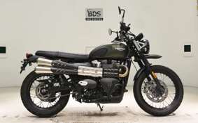 TRIUMPH SCRAMBLER 900 2023