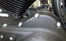 HARLEY XL1200NS 2019