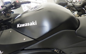 KAWASAKI NINJA 250R EX250K