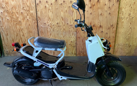 HARLEY FXLRST 2023 YXZ