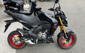 KAWASAKI Z125 PRO BR125H