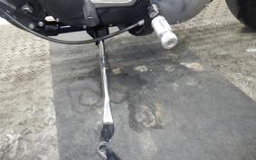 OTHER +HD. XL1200R 2006