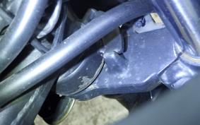 KAWASAKI NINJA 250 ABS EX250L