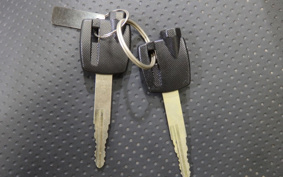 SUZUKI SKYWAVE 250 CJ43A