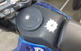 KAWASAKI KLX250D TRACKER X 2021 LX250V