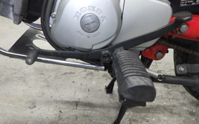 HONDA CT110 HUNTER CUB 2025