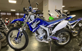 YAMAHA WR250R DG15J