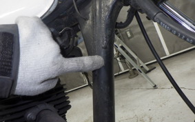 KAWASAKI 250TR 2024 BJ250F