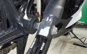 KAWASAKI Z250 2007 ER250C