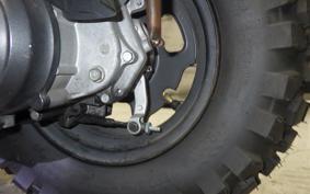 HONDA ZOOMER 2022 AF58