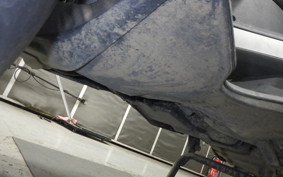 ADVIA AD TRE300 2017