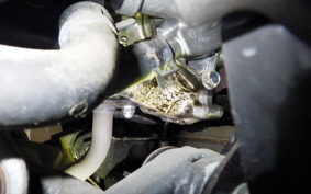 HONDA ﾀﾞﾝｸ 2014 AF78