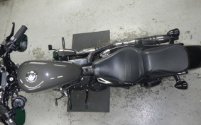 HARLEY XL1200X 2019