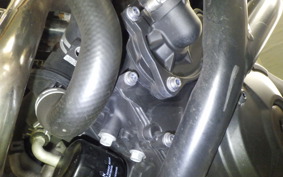 YAMAHA MT-09 ASP 2020 RN52J