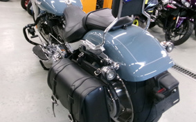 HARLEY  HARLEY FLFBS 2024 YGK