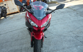 KAWASAKI NINJA 250 EX250P