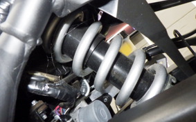 YAMAHA YZF-R25 A 2001 RG43J