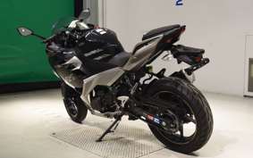 KAWASAKI NINJA 250 EX250P