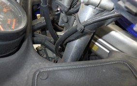 KAWASAKI ZZ-R250 EX250H