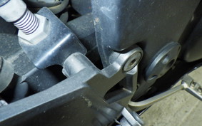 KAWASAKI NINJA 250R 2021 EX250K