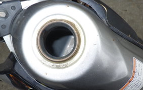 YAMAHA TRICKER DG10J