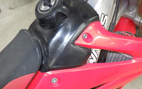 HONDA CRF250 RALLY 2024 ME10