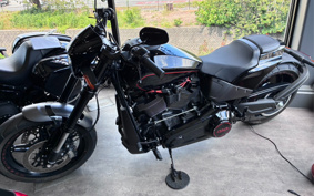 HARLEY FXDR114 2019 YVK