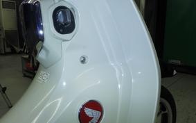 HONDA C125 SUPER CUB 2013 JA48