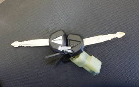 KAWASAKI NINJA 250 EX250P