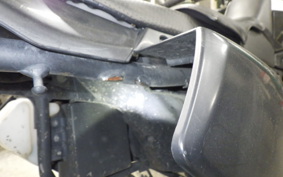 KAWASAKI KLX250D TRACKER X 2023 LX250V