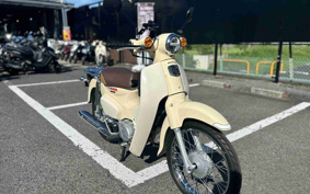 HONDA SUPER CUB110 JA44