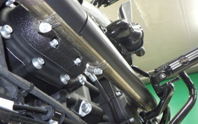 HARLEY FXLRST1920 2024