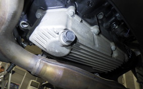 KAWASAKI Z250 2008 ER250C