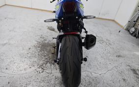 SUZUKI GSX-R1000R 2019 DM11A