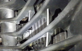 SUZUKI ｼﾞｸｻｰ250SF 2025 ED22B