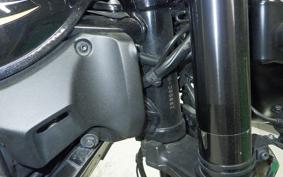 KAWASAKI Z900RS 2019 ZR900C