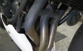 TRIUMPH STREET TRIPLE 2009
