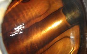 HONDA STEED 400 1995 NC26