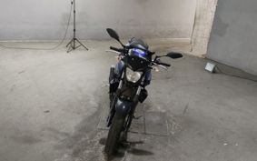 YAMAHA MT-25 RG43J
